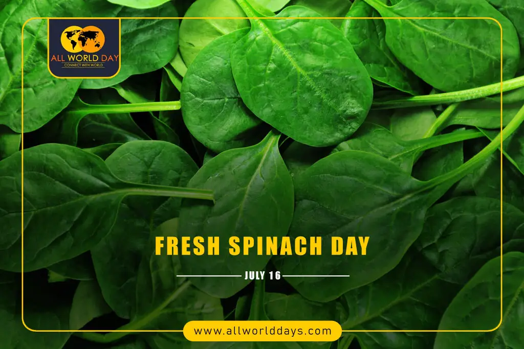 Fresh Spinach Day 2024